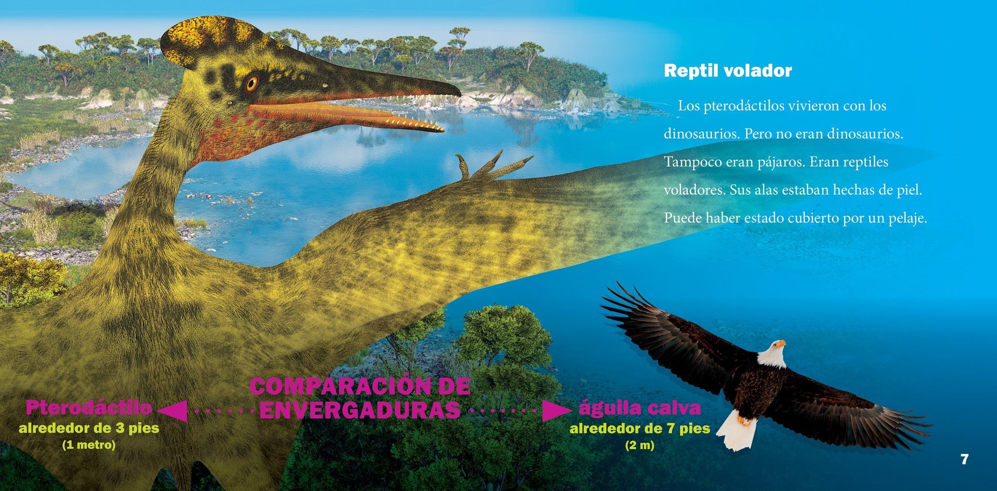 Pterodáctilo – The Creative Company