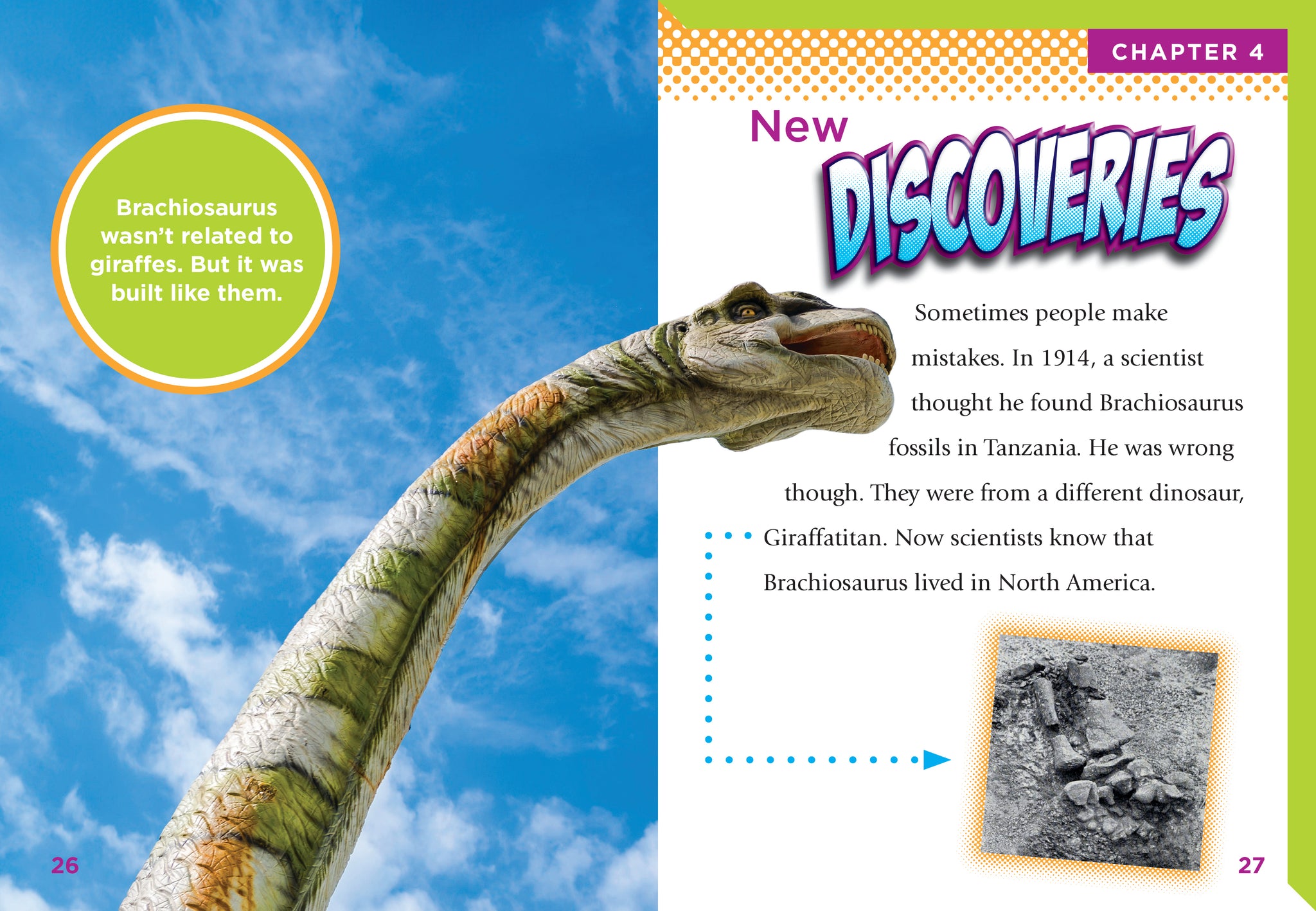 Brachiosaurus – The Creative Company