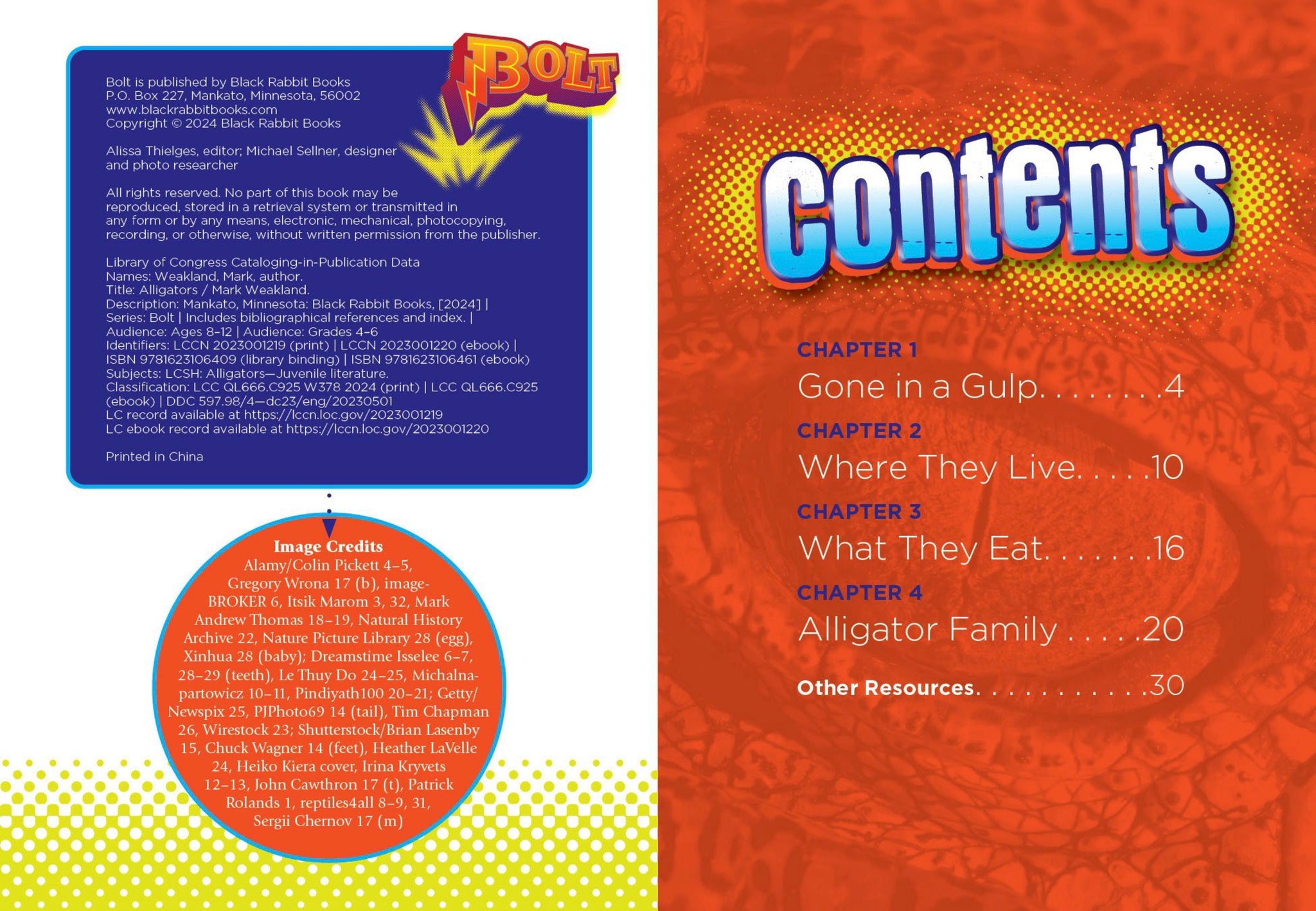 Alligators – The Creative Company