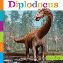 Laden Sie das Bild in den Galerie-Viewer, Sämlinge: Diplodocus
