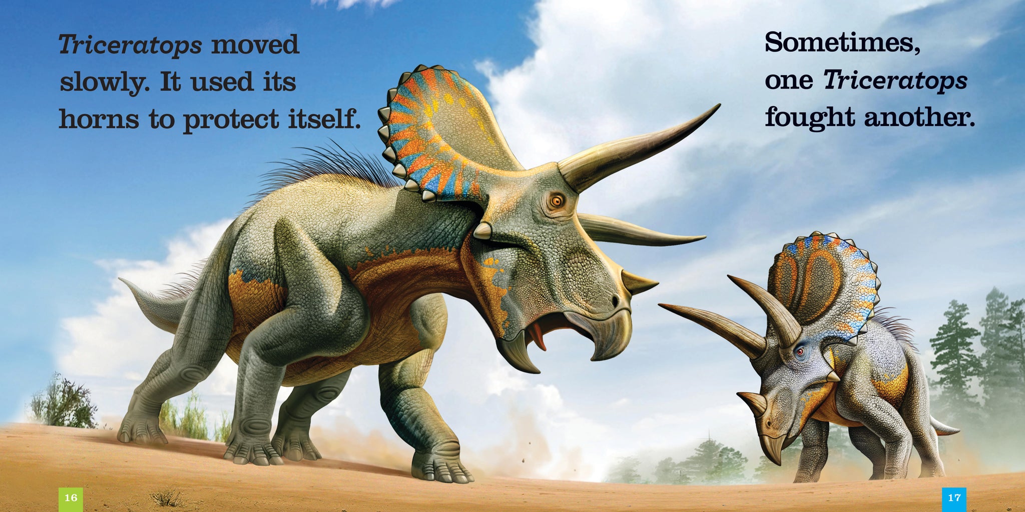 Triceratops – The Creative Company