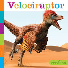 Laden Sie das Bild in den Galerie-Viewer, Sämlinge: Velociraptor
