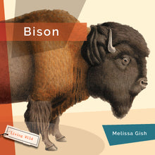 Laden Sie das Bild in den Galerie-Viewer, Living Wild (2024): Bison
