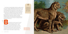 Laden Sie das Bild in den Galerie-Viewer, Living Wild (2024): Geparden

