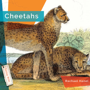 Living Wild (2024): Cheetahs