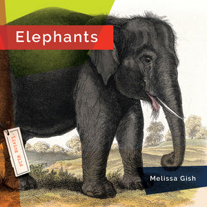 Living Wild (2024): Elephants