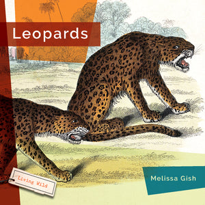 Living Wild (2024): Leopards