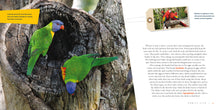 Laden Sie das Bild in den Galerie-Viewer, Living Wild (2024): Papageien
