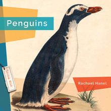 Laden Sie das Bild in den Galerie-Viewer, Living Wild (2024): Pinguine
