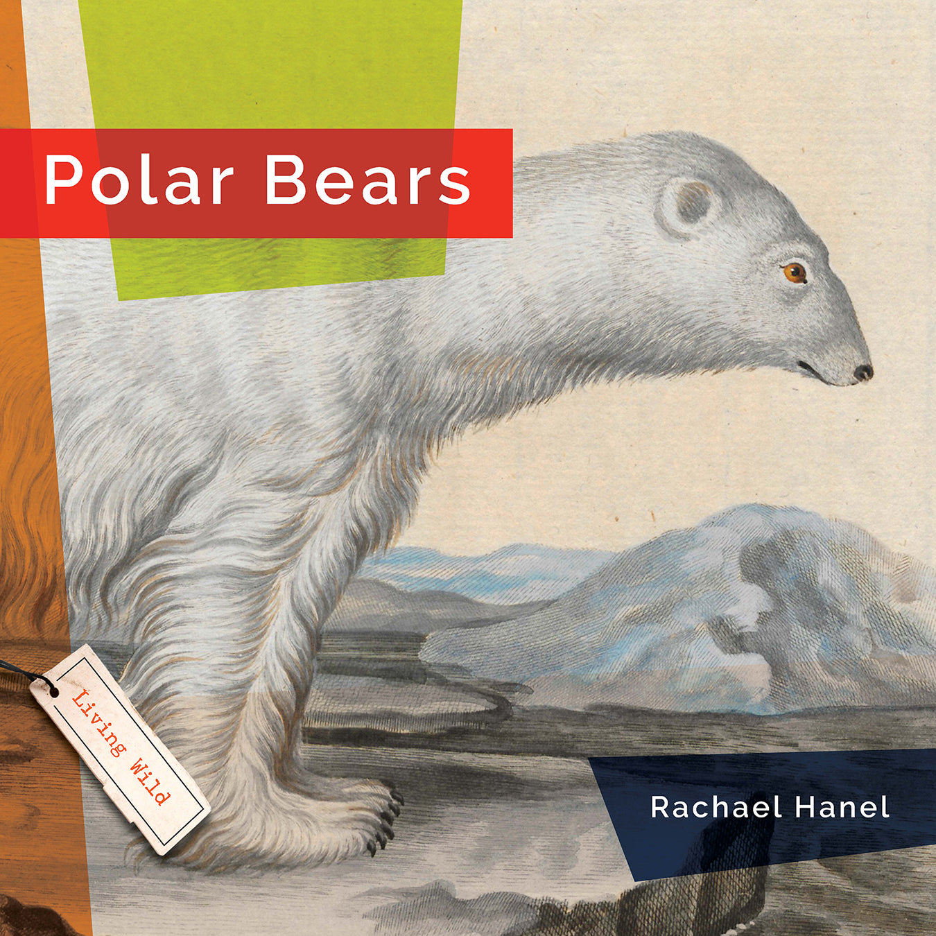 Living Wild (2024): Polar Bears