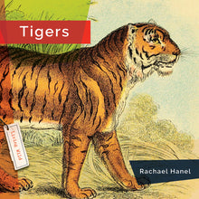 Laden Sie das Bild in den Galerie-Viewer, Living Wild (2024): Tiger

