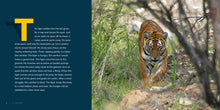 Laden Sie das Bild in den Galerie-Viewer, Living Wild (2024): Tiger
