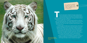 Living Wild (2024): Tigers