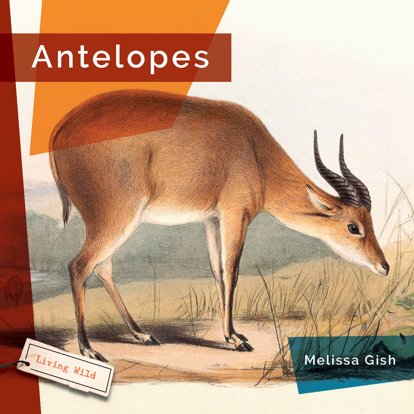 Living Wild (2024): Antelopes
