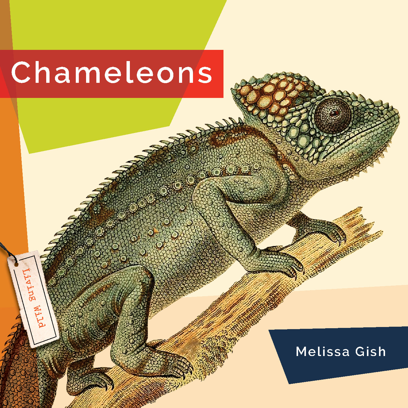 Living Wild (2024): Chameleons