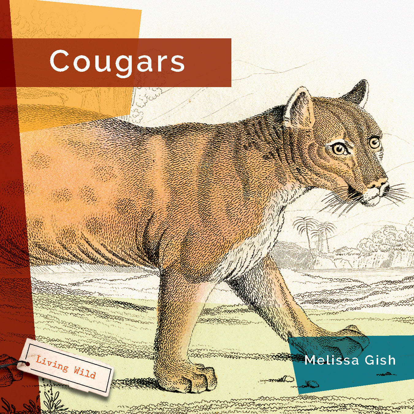 Living Wild (2024): Cougars