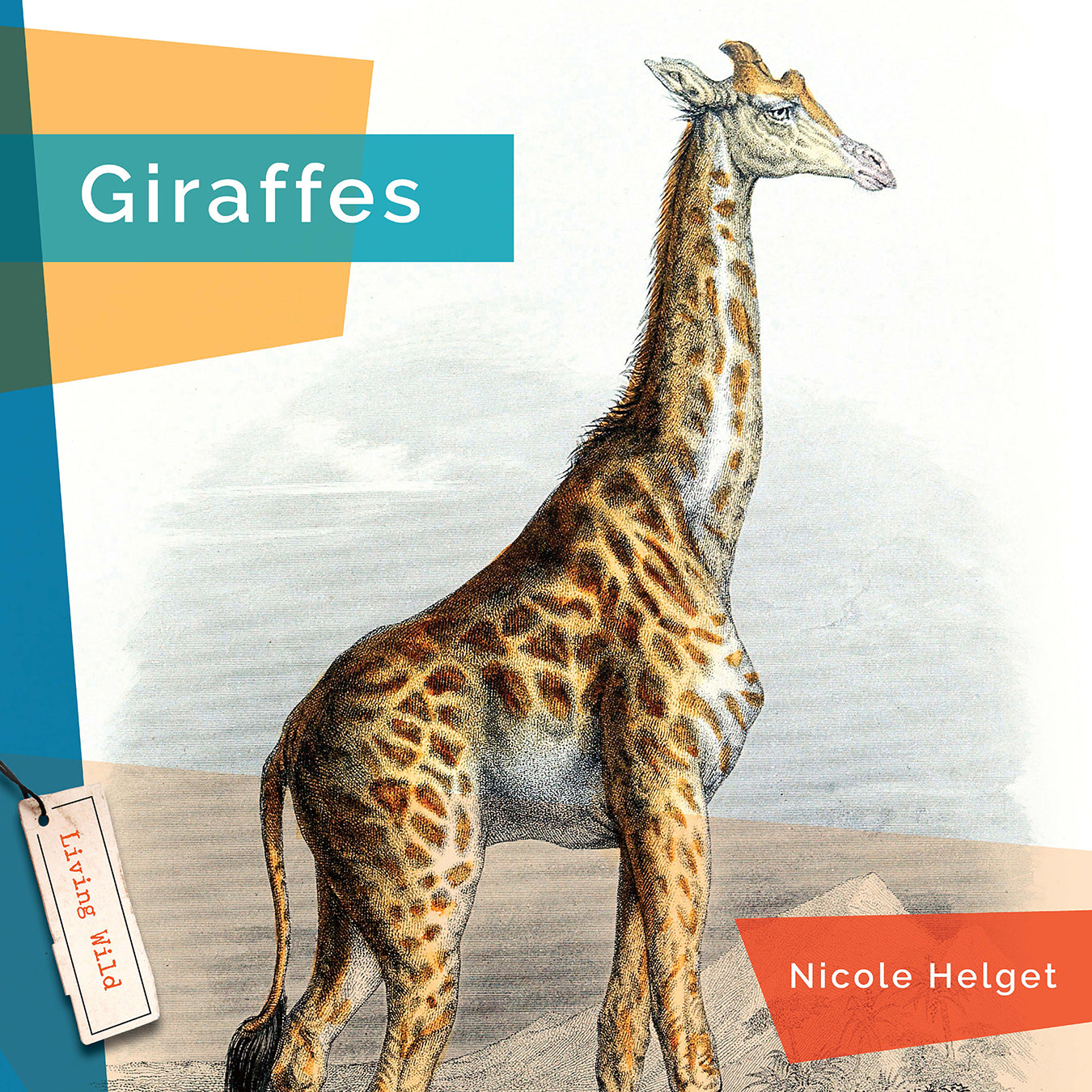 Living Wild (2024): Giraffes