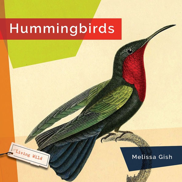 Living Wild (2024): Hummingbirds – The Creative Company Shop