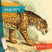 Laden Sie das Bild in den Galerie-Viewer, Living Wild (2024): Jaguare
