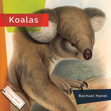 Laden Sie das Bild in den Galerie-Viewer, Living Wild (2024): Koalas
