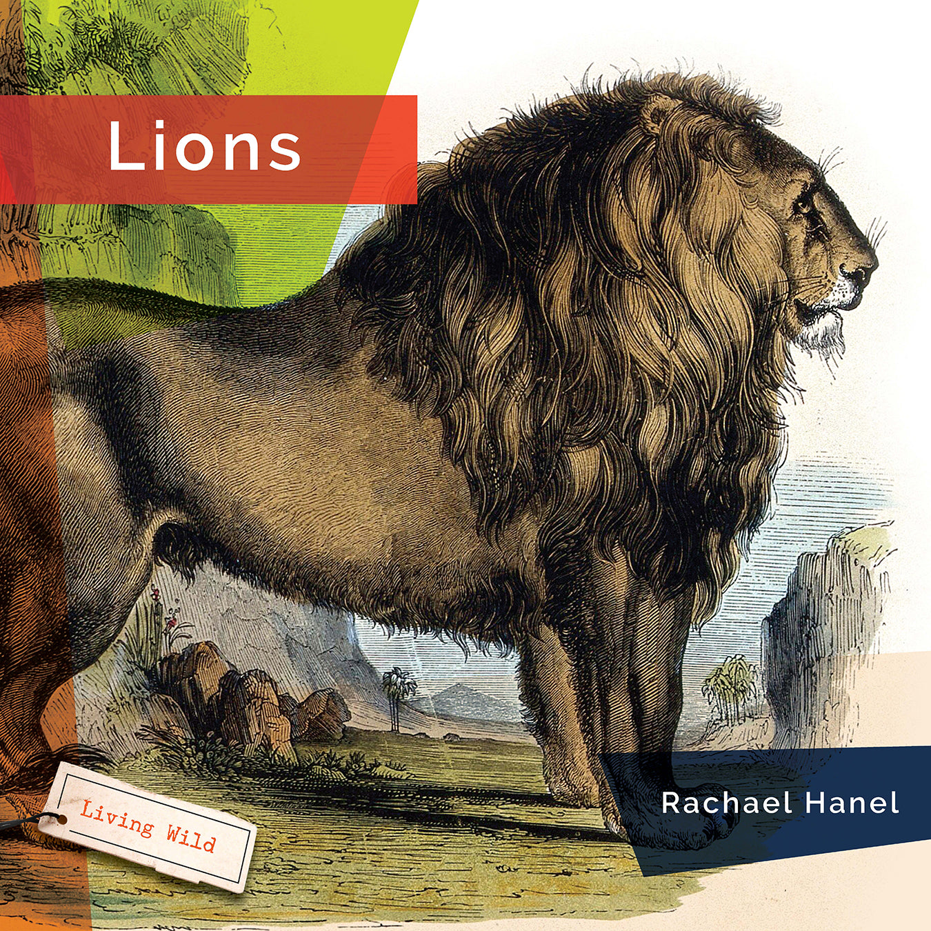 Living Wild (2024): Lions