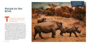 Living Wild (2024): Rhinoceroses