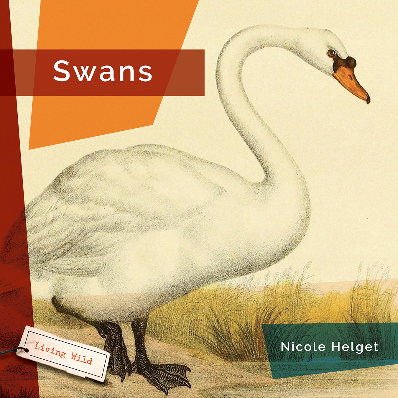 Living Wild (2024): Swans