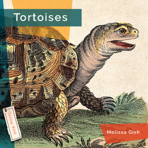 Living Wild (2024): Tortoises