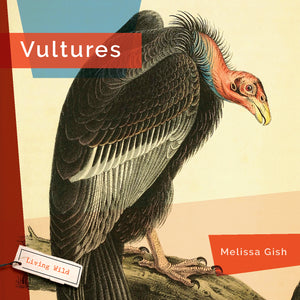 Living Wild (2024): Vultures