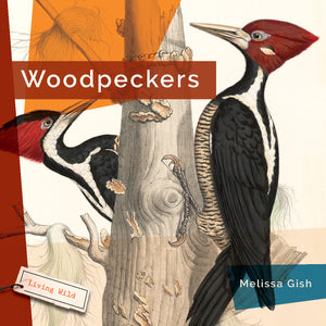 Living Wild (2024): Woodpeckers