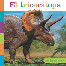 Laden Sie das Bild in den Galerie-Viewer, Säbelsamen: Die Triceratops

