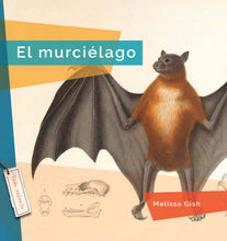 Laden Sie das Bild in den Galerie-Viewer, Vida salvaje (2024): El murciélago
