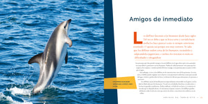 Vida salvaje (2024): El delfín