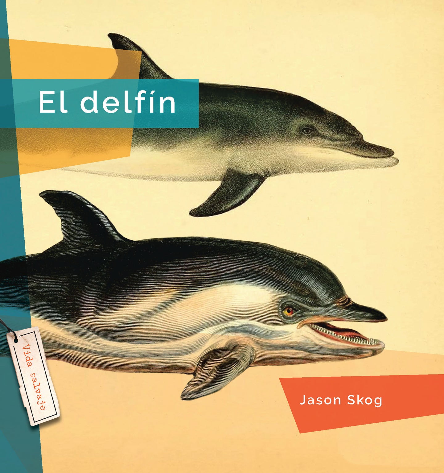 Vida salvaje (2024): El delf’n