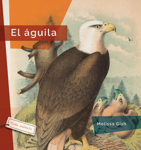 Vida salvaje (2024): El águila