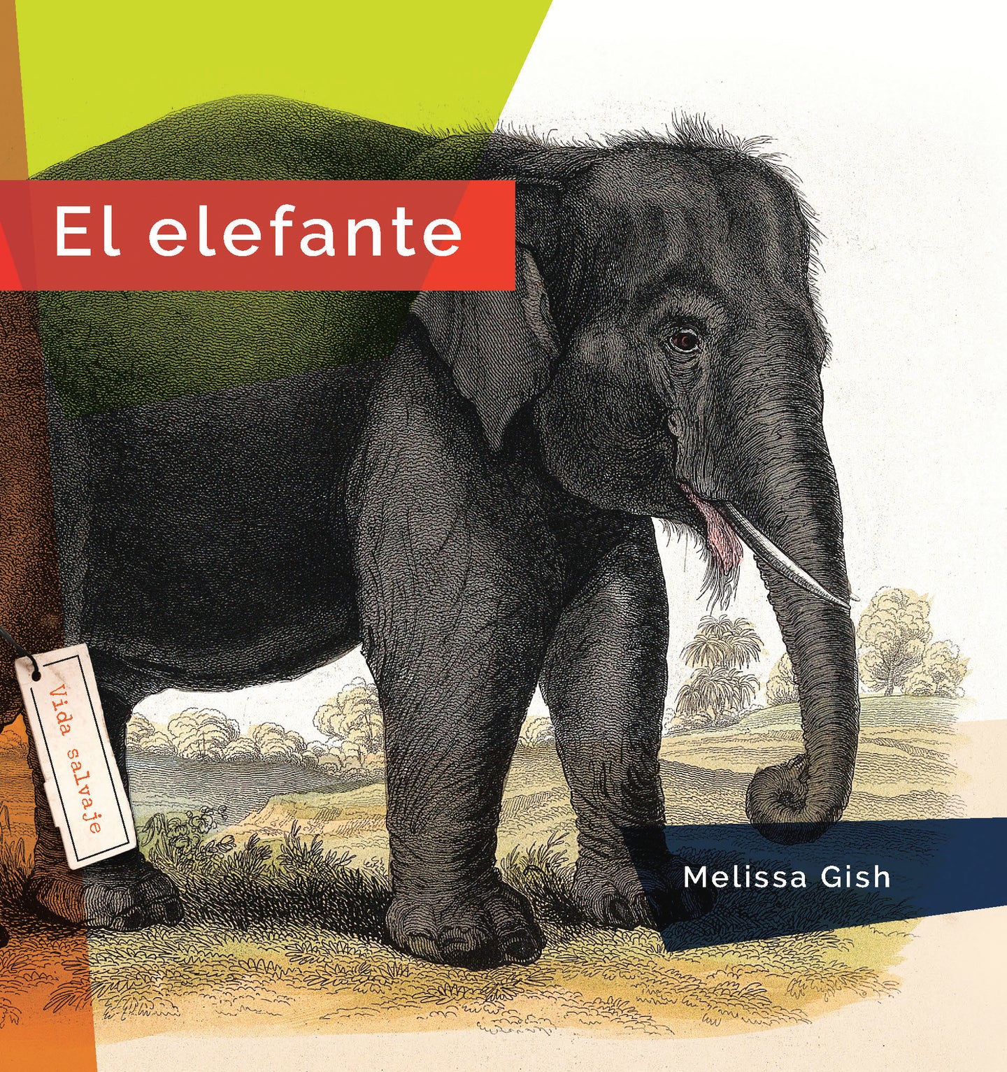 Vida salvaje (2024): El elefante
