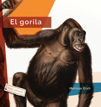 Laden Sie das Bild in den Galerie-Viewer, Vida salvaje (2024): El gorila
