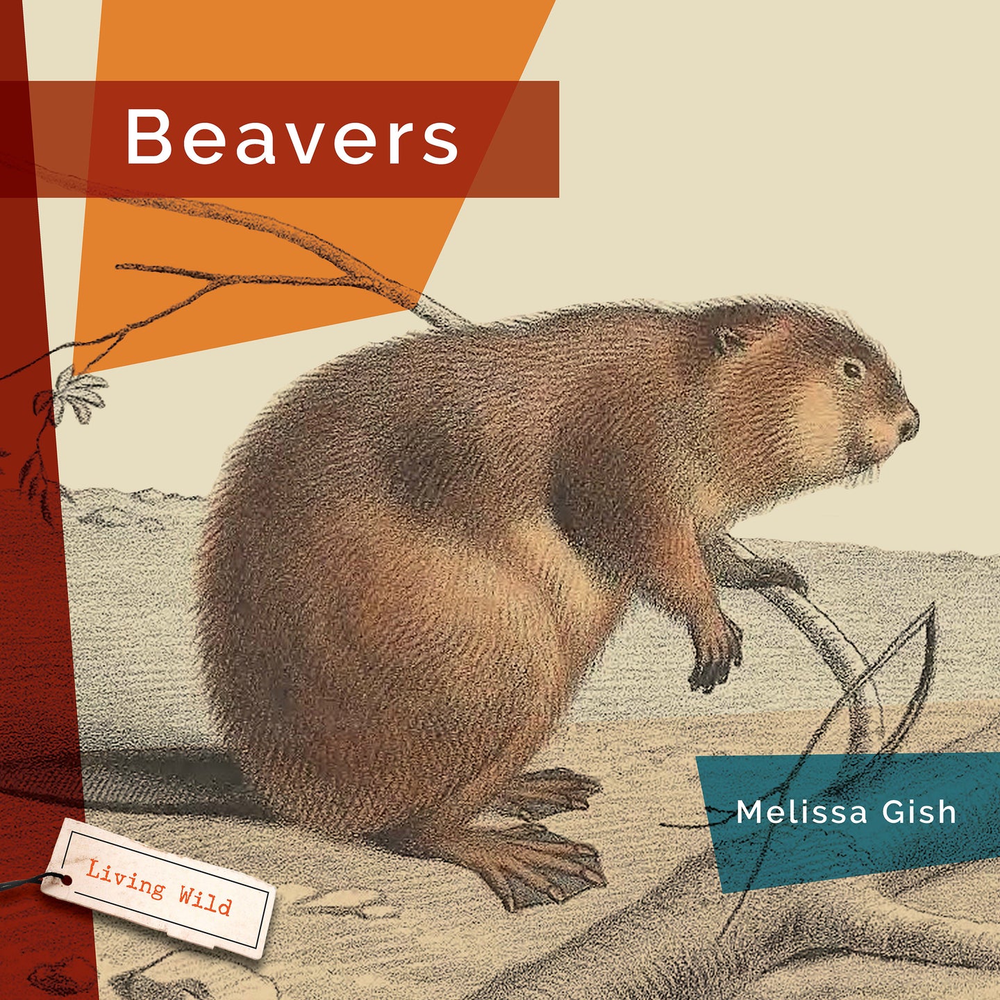 Living Wild (2024): Beavers