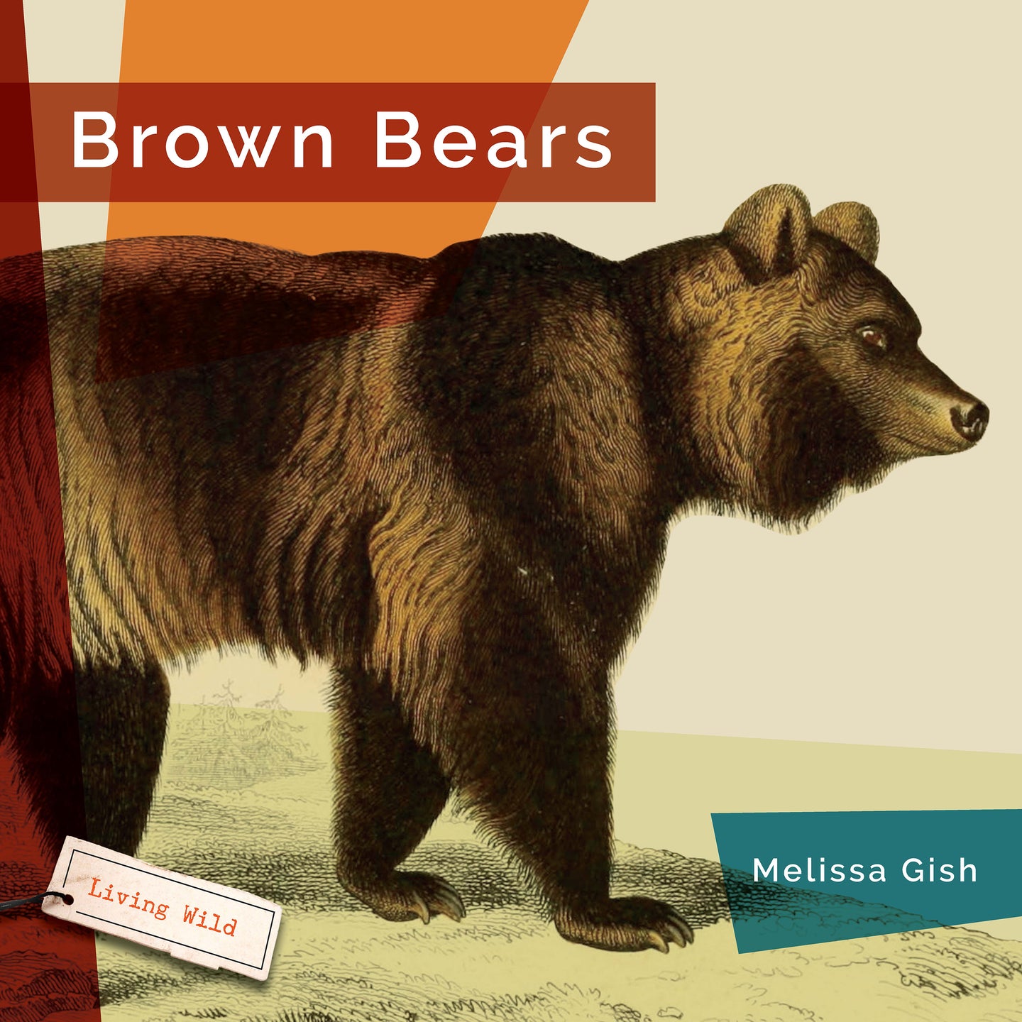 Living Wild (2024): Brown Bears