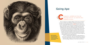 Living Wild (2024): Chimpanzees
