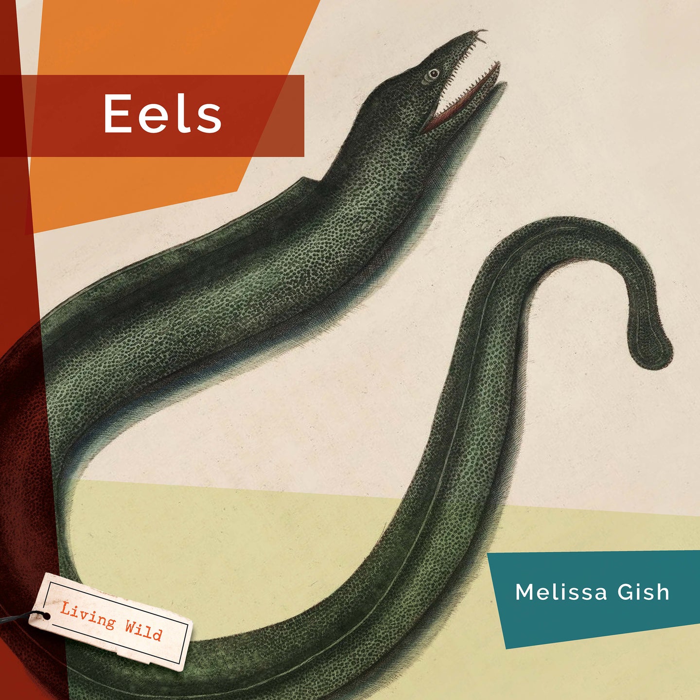 Living Wild (2024): Eels