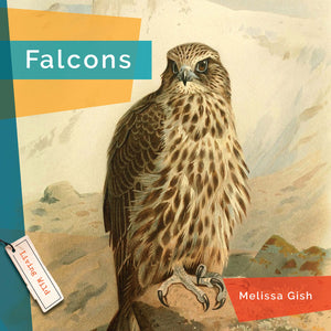 Living Wild (2024): Falcons