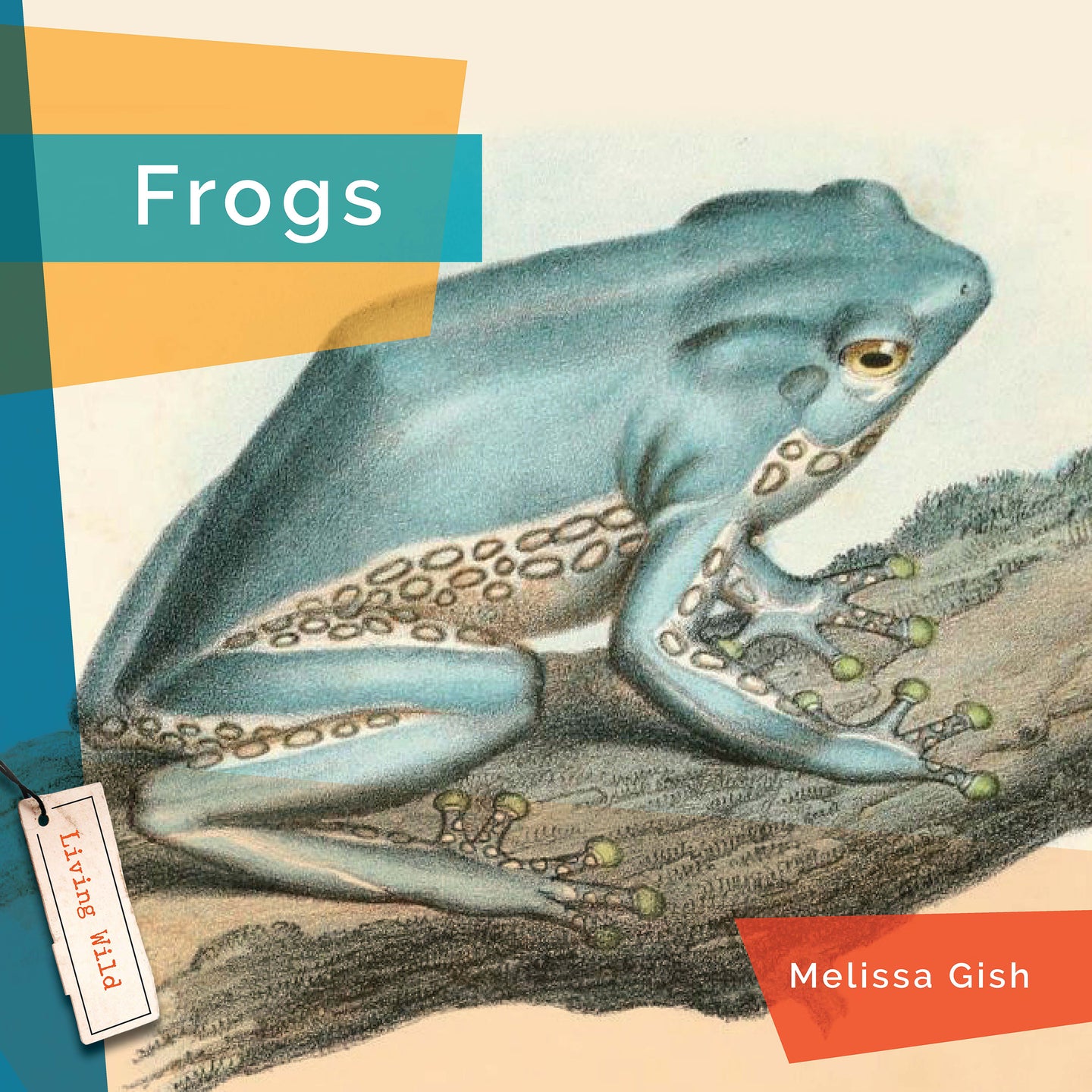 Living Wild (2024): Frogs