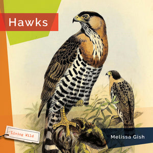 Living Wild (2024): Hawks
