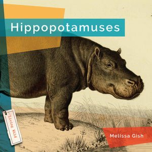 Living Wild (2024): Hippopotamuses