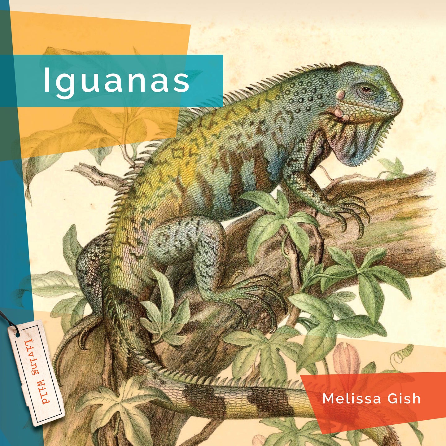 Living Wild (2024): Iguanas