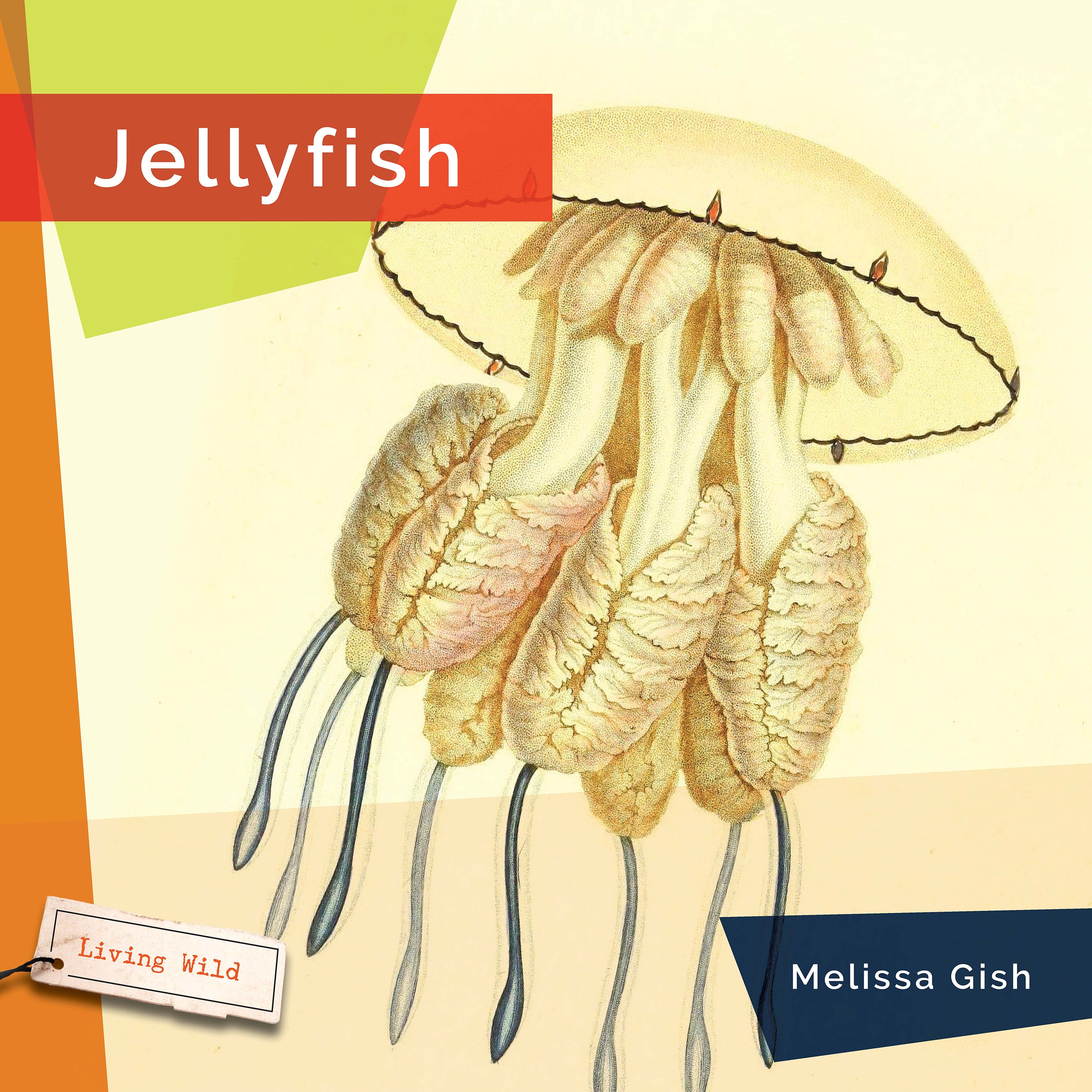 FINAL SALE! The Wild Jellyfish