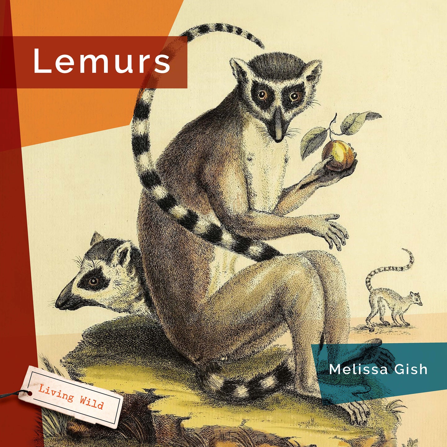 Living Wild (2024): Lemurs