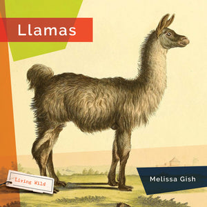 Living Wild (2024): Llamas