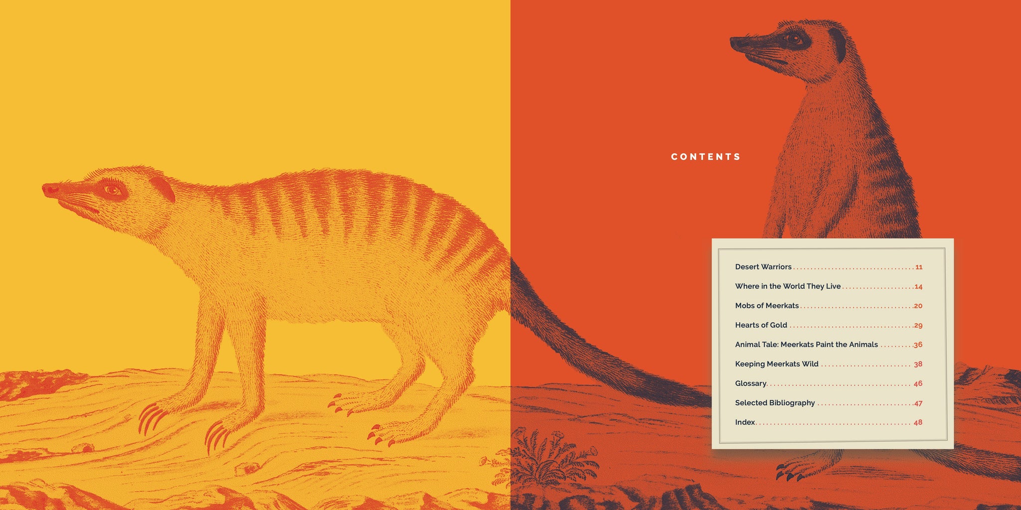 Meerkats – The Creative Company